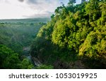 Costa Rica Rain Forest Free Stock Photo - Public Domain Pictures