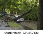 Tree Fallen On A Car After A...