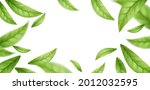 realistic flying falling green... | Shutterstock .eps vector #2012032595