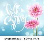 gerbera flower background and... | Shutterstock .eps vector #569467975