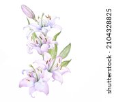 bouquet white lilies  pink... | Shutterstock .eps vector #2104328825