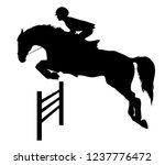 Equestrian Sport  Show Jumping  ...