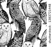 Seamless Pattern With Owls....