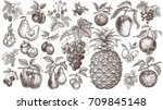 fruits and berries. set of... | Shutterstock .eps vector #709845148