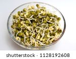 healthy mung sprouts | Shutterstock . vector #1128192608