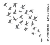 silhouette of city flying birds ... | Shutterstock .eps vector #1248345028