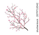cherry blossom branch with... | Shutterstock .eps vector #2079713542