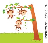 Monkeys Swinging In A Tree....