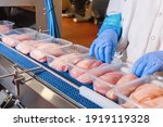 Small photo of Conveyor Belt Food.Factory for the production of food from meat.Production line with packaging .Food products meat chicken in plastic packaging on the conveyor.