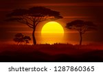 Sunset In Africa  Savanna...