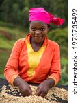 Small photo of Lake Kivu, Rwanda - May 2016 Coffee farmers sorting through red coffee cherries in the coffee cooperatives throughout the Lake Kiva region of Rwanda