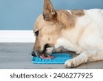 Cute dog using lick mat for...