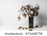 Withered Lotus Flowers In A...