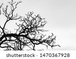 Small photo of Silhouette dead tree and branch isolated on white background. Background for death, hopeless, despair,sad, and lament concept. Halloween night. Dramatic horror night on Halloween day. Grief abstract.