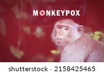 Monkeypox Outbreak Concept....