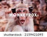Small photo of Monkeypox outbreak concept. Monkeypox is caused by monkeypox virus. Monkeypox is a viral zoonotic disease. Virus transmitted to humans from animals. Monkeys may harbor the virus and infect people.