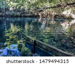 Small photo of Reflection on Angelita's cenote in Tulum