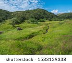 View On Lush Green Grass Of...