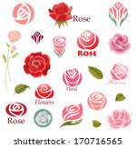set of rose flower design... | Shutterstock .eps vector #170716565