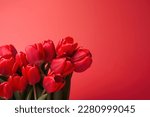 Beautiful red tulips against a red background, making it perfect for the Spring and Easter season. The soft, pastel colors and delicate blooms evoke feelings of renewal and joy.