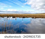 Small photo of Sky reflected in the wetland at St Aidan's Nature Park, West Yorkshire, England