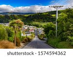 New Zealand, South Island. Dunedin, suburb of North East Valley. Baldwin Street, the steepest residential street in the world