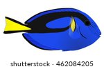 Blue Tang Dory Fish Side View