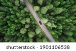 Aerial View Of Green Forest And ...