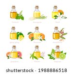 set of essential oil in glass... | Shutterstock .eps vector #1988886518