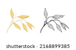 oat ears. vector color... | Shutterstock .eps vector #2168899385