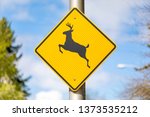 Yellow Traffic Sign For Deer...