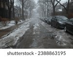 Small photo of Toronto 2014-01-11 Neighborhood Street. Sudden thaw, puddles and melting snow