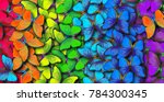 Colors Of Rainbow. Pattern Of...