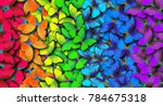 Colors of rainbow. pattern of...