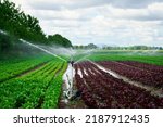 Irrigation System Works In...