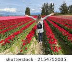 Happy Woman Is The Tulips Field ...