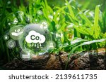 Developing Sustainable Co2...