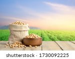 Soybeans in wooden bowl and cotton bag on wooden table with blur green soybean field and morning light background.