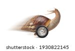Speedy Garden Snail With Wheel...