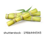 Fresh sugar cane with leaves  isolated on white background. 