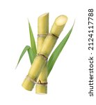 Small photo of Fresh sugar cane stalk with water droplets isolated on white background.