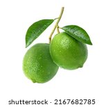Natural Fresh Limes With Water...