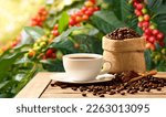 Small photo of Cup of hot coffee with roasted coffee beans and powder with coffee tree background.