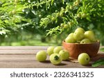 Fresh Amla (Indian gooseberry) fruits on wooden table with amla plant background.