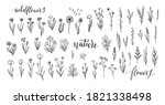 wildflower line art set. flower ... | Shutterstock .eps vector #1821338498