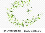 mint foliage vector concept.... | Shutterstock .eps vector #1637938192
