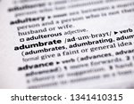 Small photo of Blurred close up to the partial dictionary definition of Adumbrate