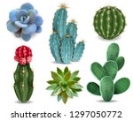Popular Indoor Plants Elements...