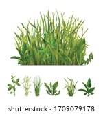 Realistic Grasses Mix And...