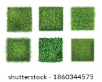 ground cover plants background... | Shutterstock .eps vector #1860344575
